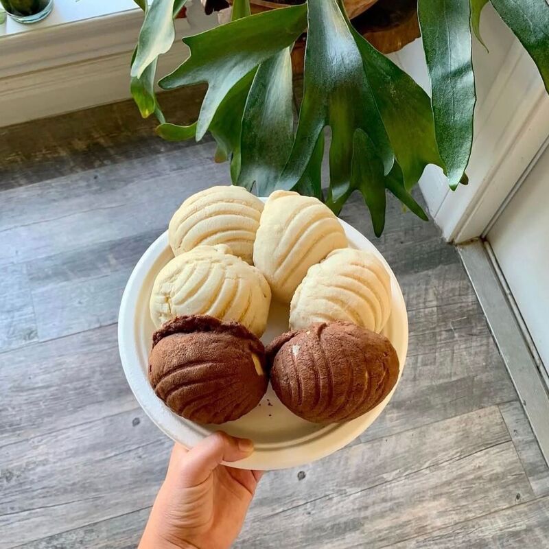 Un plato con conchas de vainilla y de chocolate, sostenido en la mano